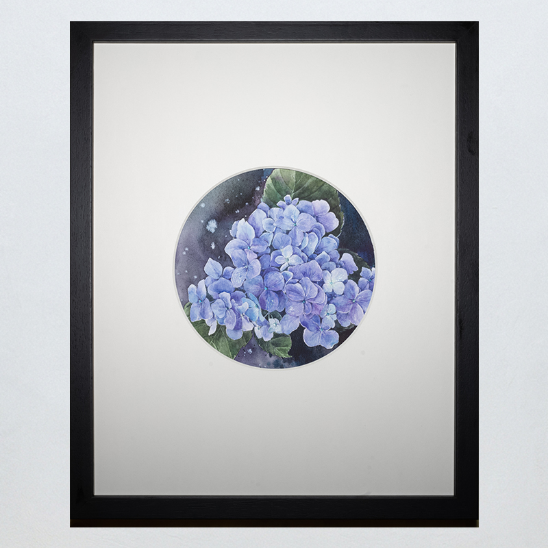 Hydrangeas Under a Starlit Sky Framed Watercolor Art