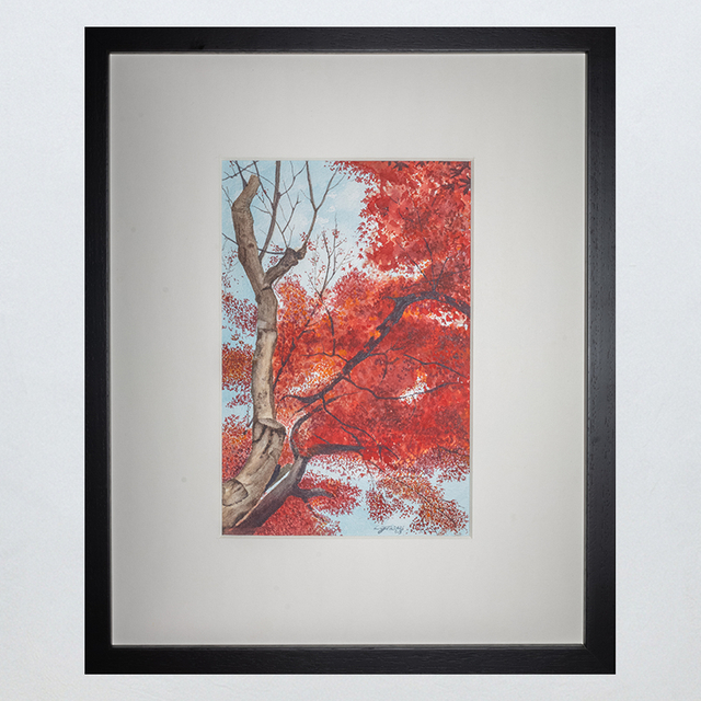 Autumn Maples Aglow Framed Watercolor Art